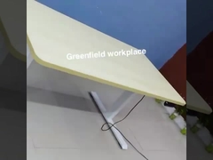 বৈদ্যুতিক নিয়ন্ত্রিত ডেস্ক