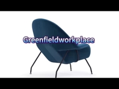 ই৩৮ ল্যাংজ উইমরচেয়ার